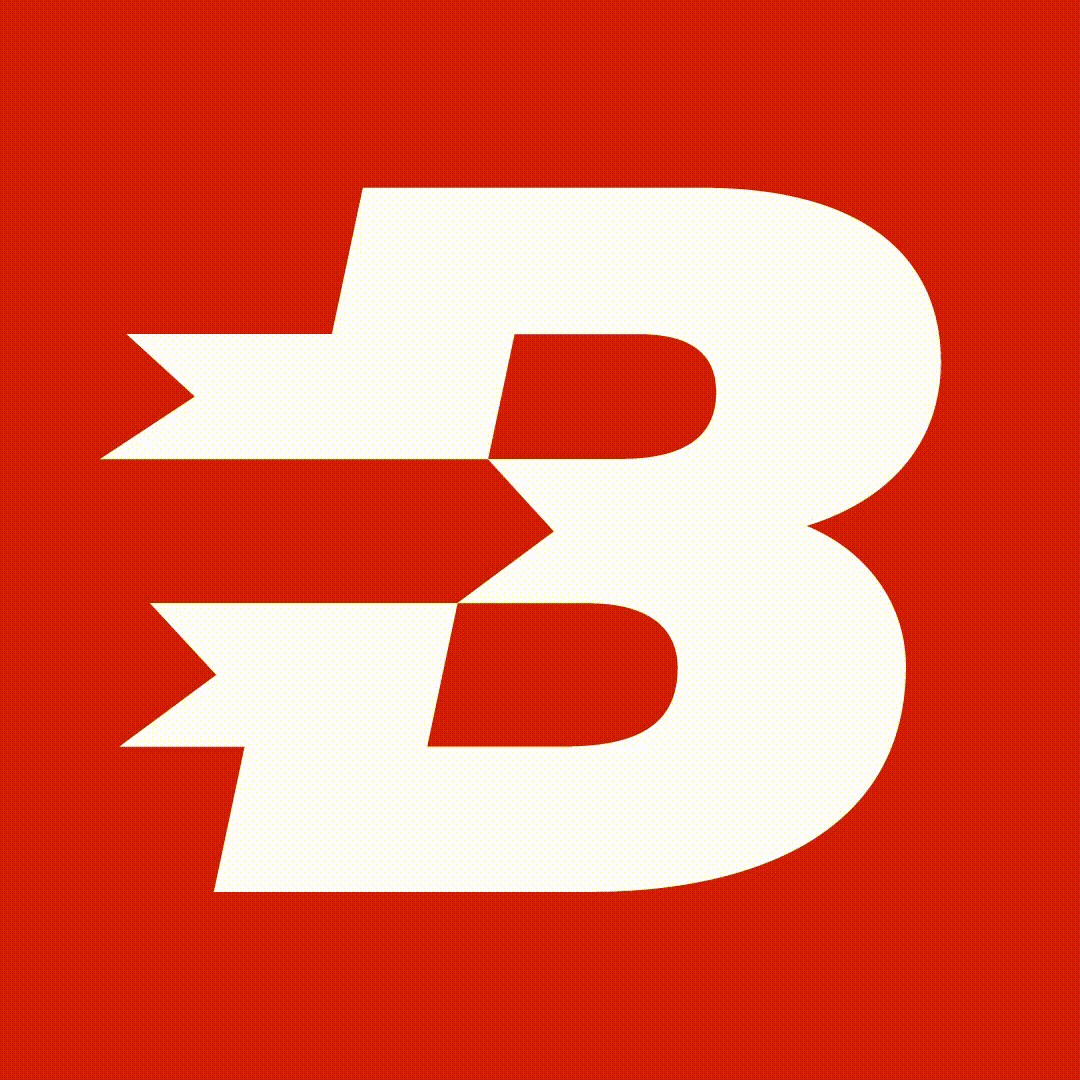 BISTA Official Logo
